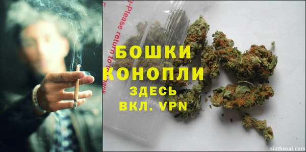 шишки Сосновка