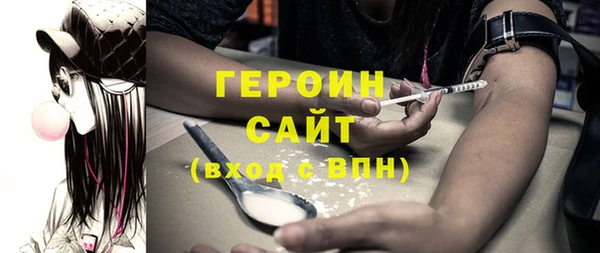 тгк Дмитриев