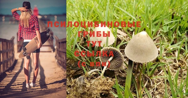 мдма Ельня