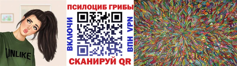 закладки  Старица  Галлюциногенные грибы Psilocybine cubensis 