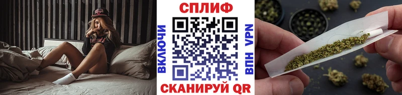 Бошки Шишки ГИДРОПОН наркота Старица